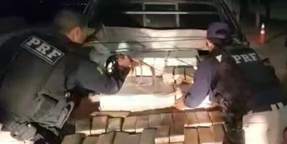 254 kg de maconha estavam sendo trazidas para o Piauí