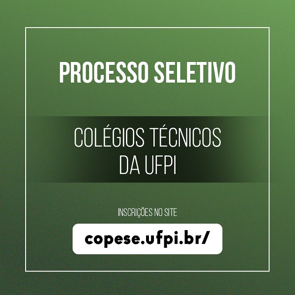 Processo Seletivo UFPI