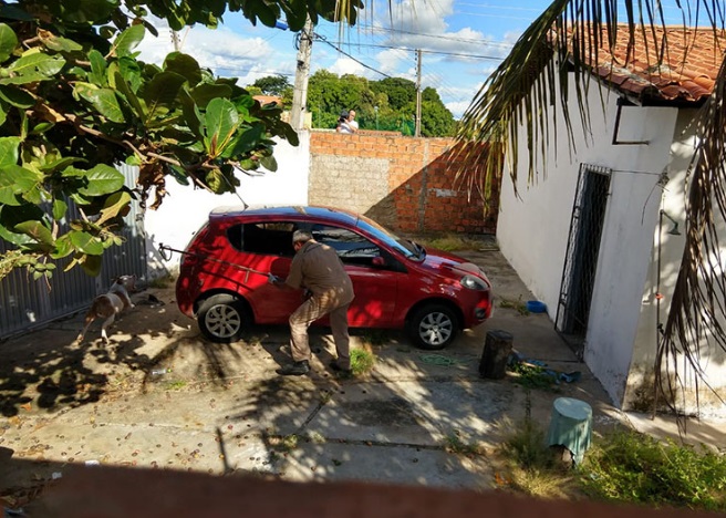 Luana Alves também confirmou que uma observação sobre o carro apontou manchas de sangue