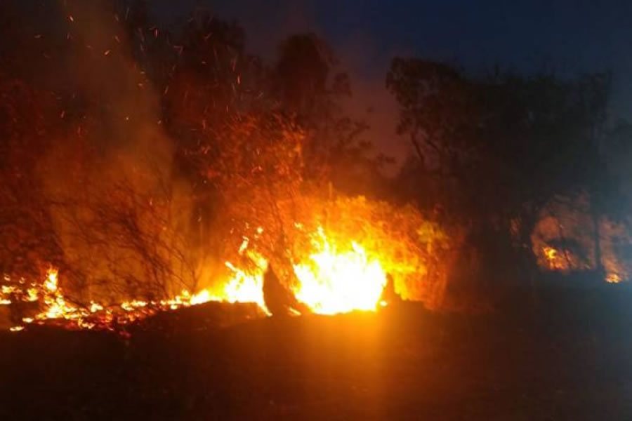 Incêndio na região sul do Piauí