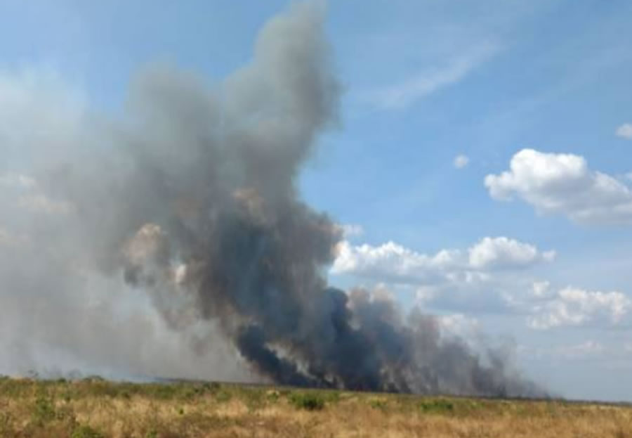 Incêndio na região sul do Piauí