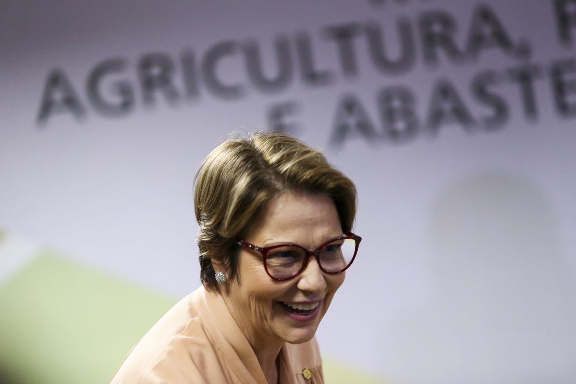 Tereza Cristina ministra agricultura