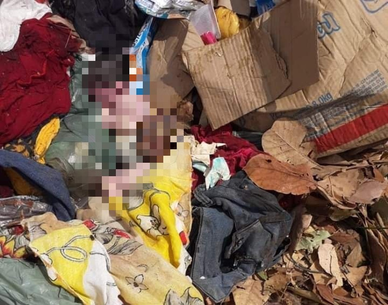 feto encontrado em lixo no Piauí