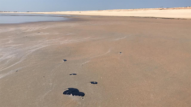 mancha de óleo praia do Piauí