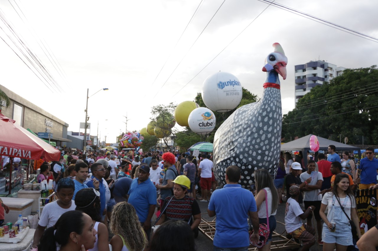 carnaval em Teresina - blocos