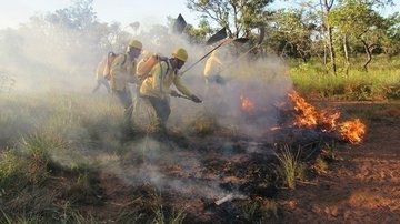 focos de incêndio no Piauí